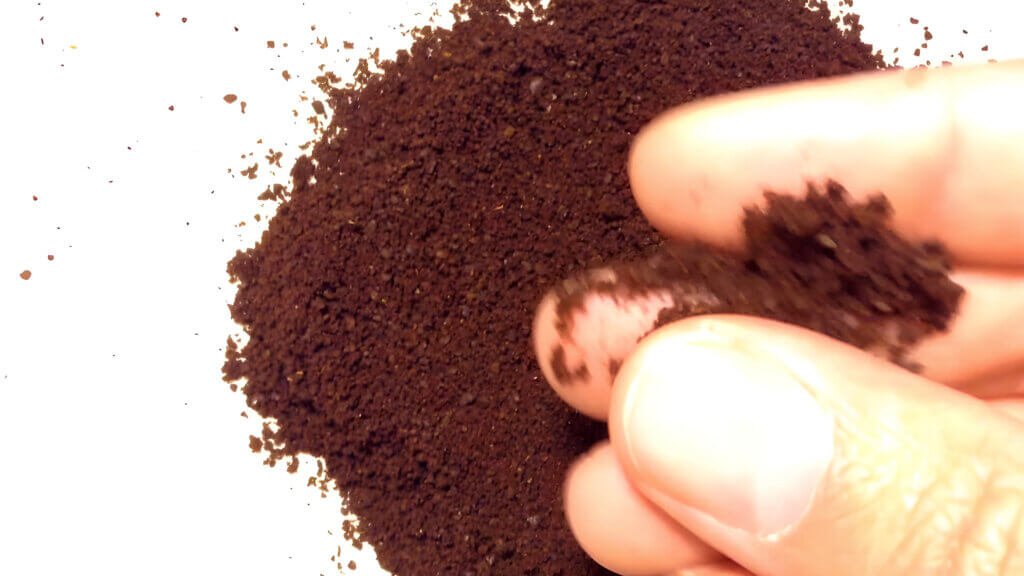 Cuisinart Coffee Grinder Review