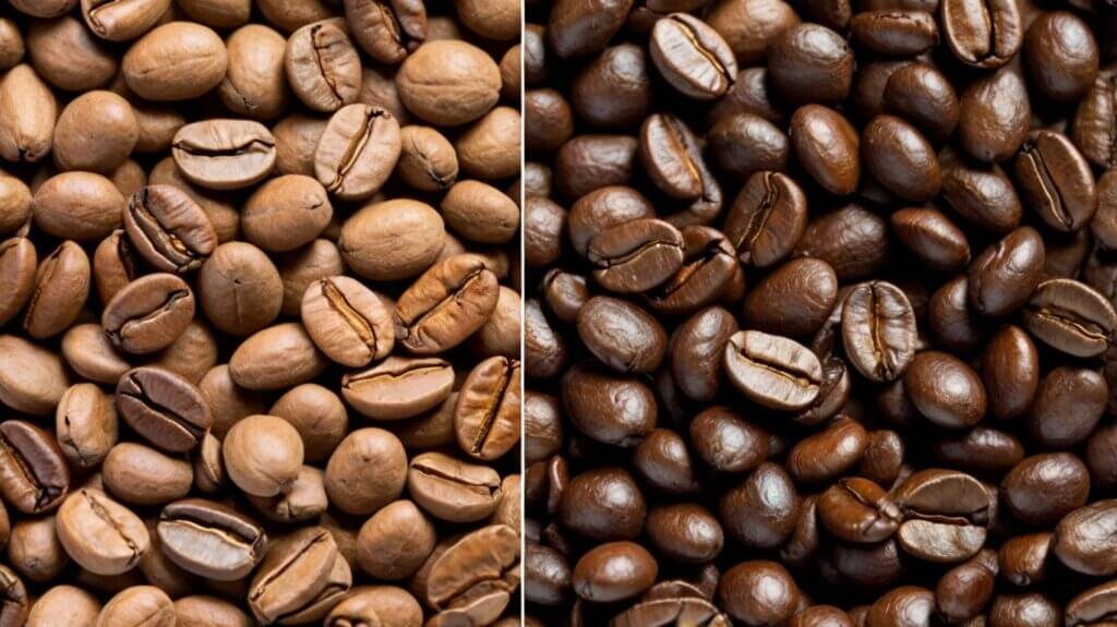 Arabica vs Robusta beans