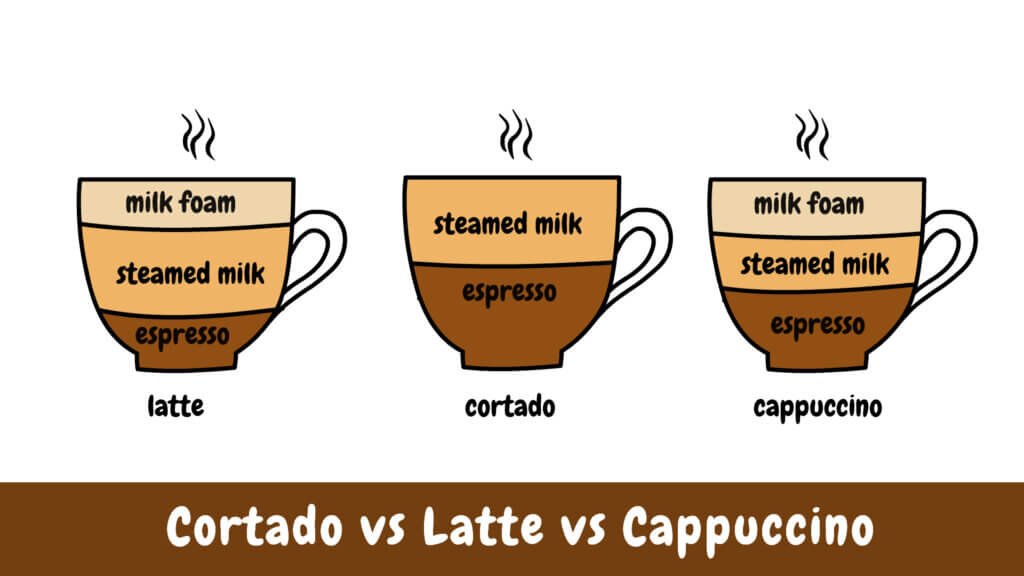 Cortado vs Latte vs Cappuccino